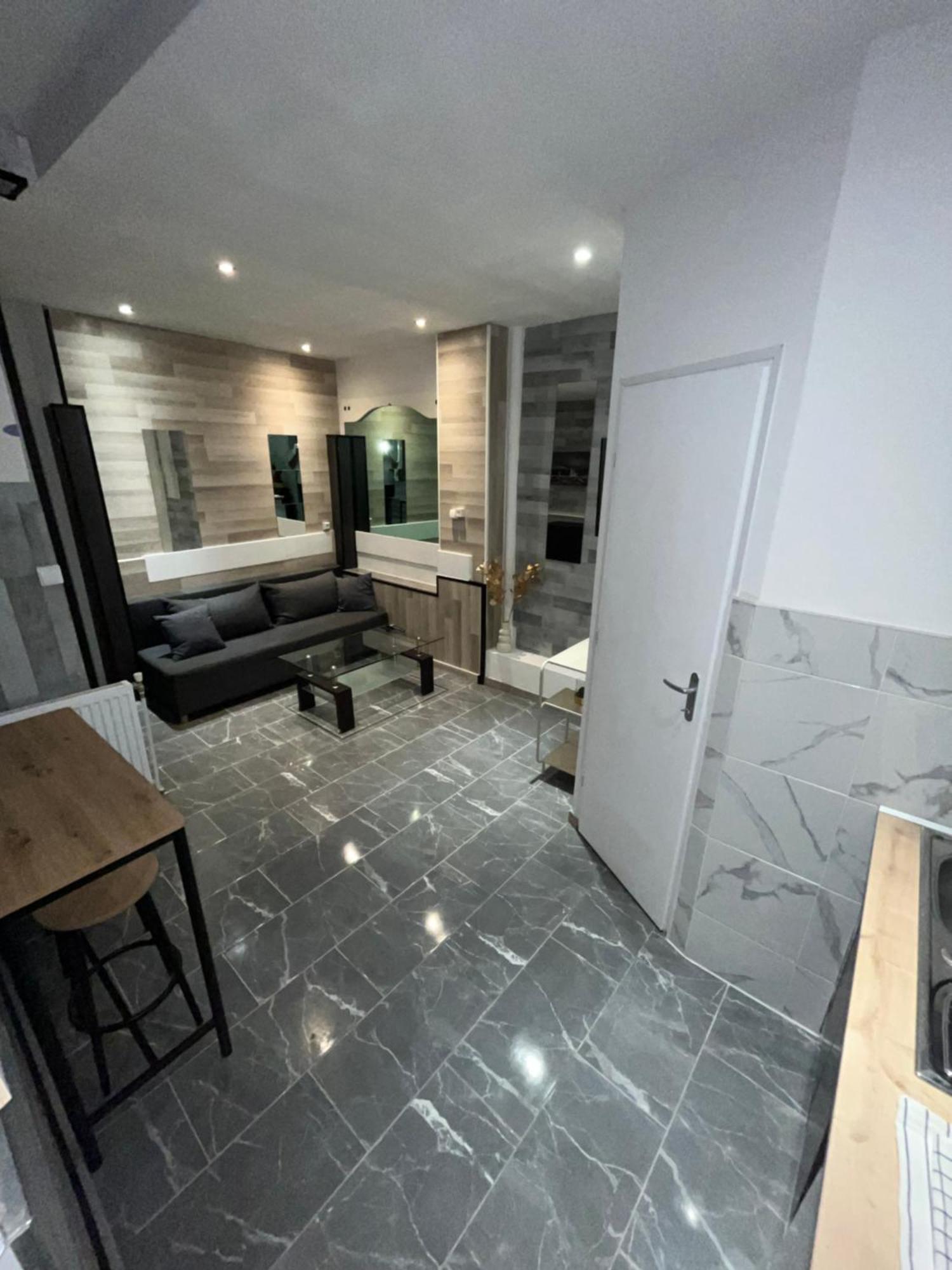 Appartement Moderne Centre Ville De 디종 외부 사진