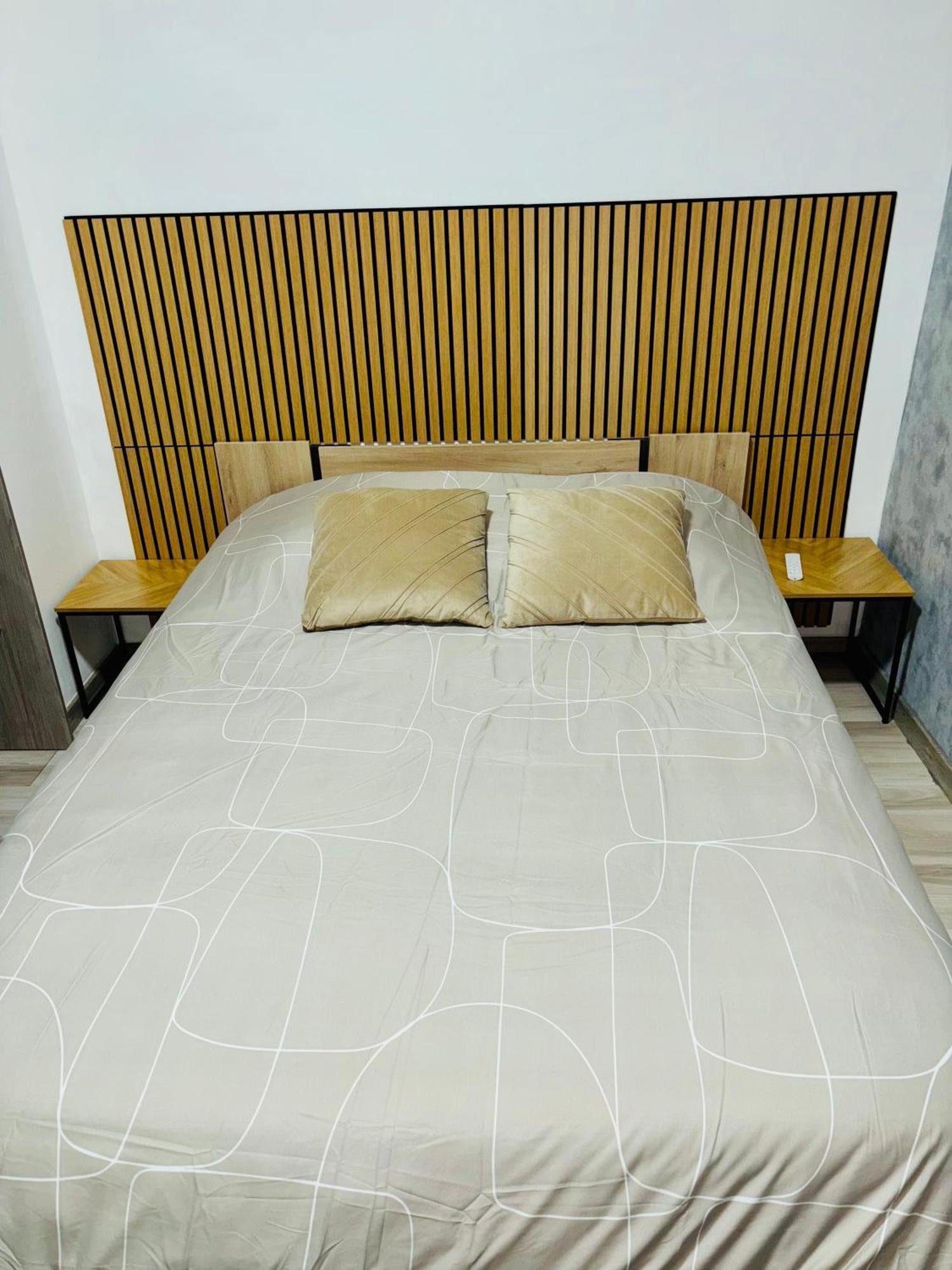 Appartement Moderne Centre Ville De 디종 외부 사진