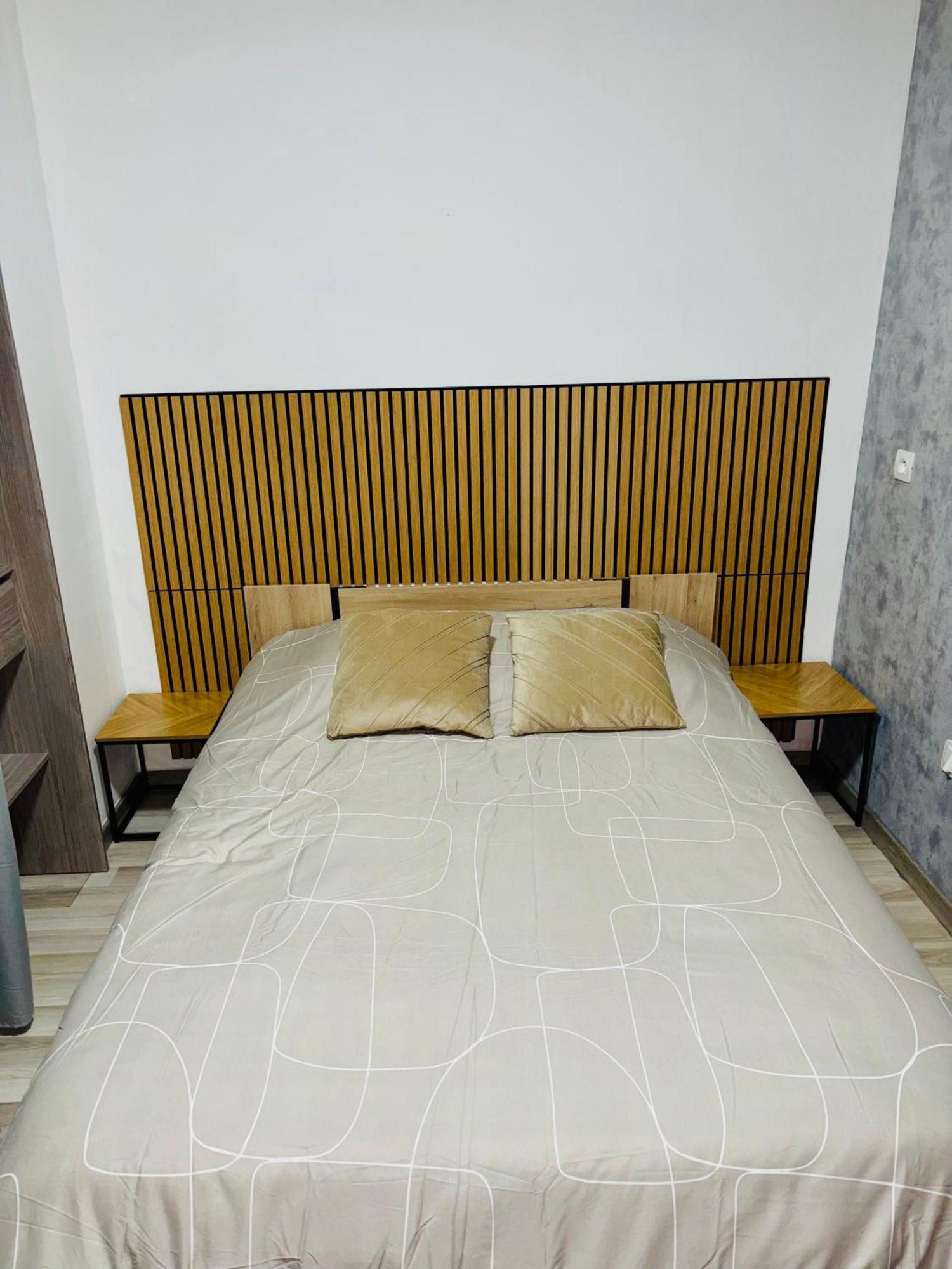 Appartement Moderne Centre Ville De 디종 외부 사진