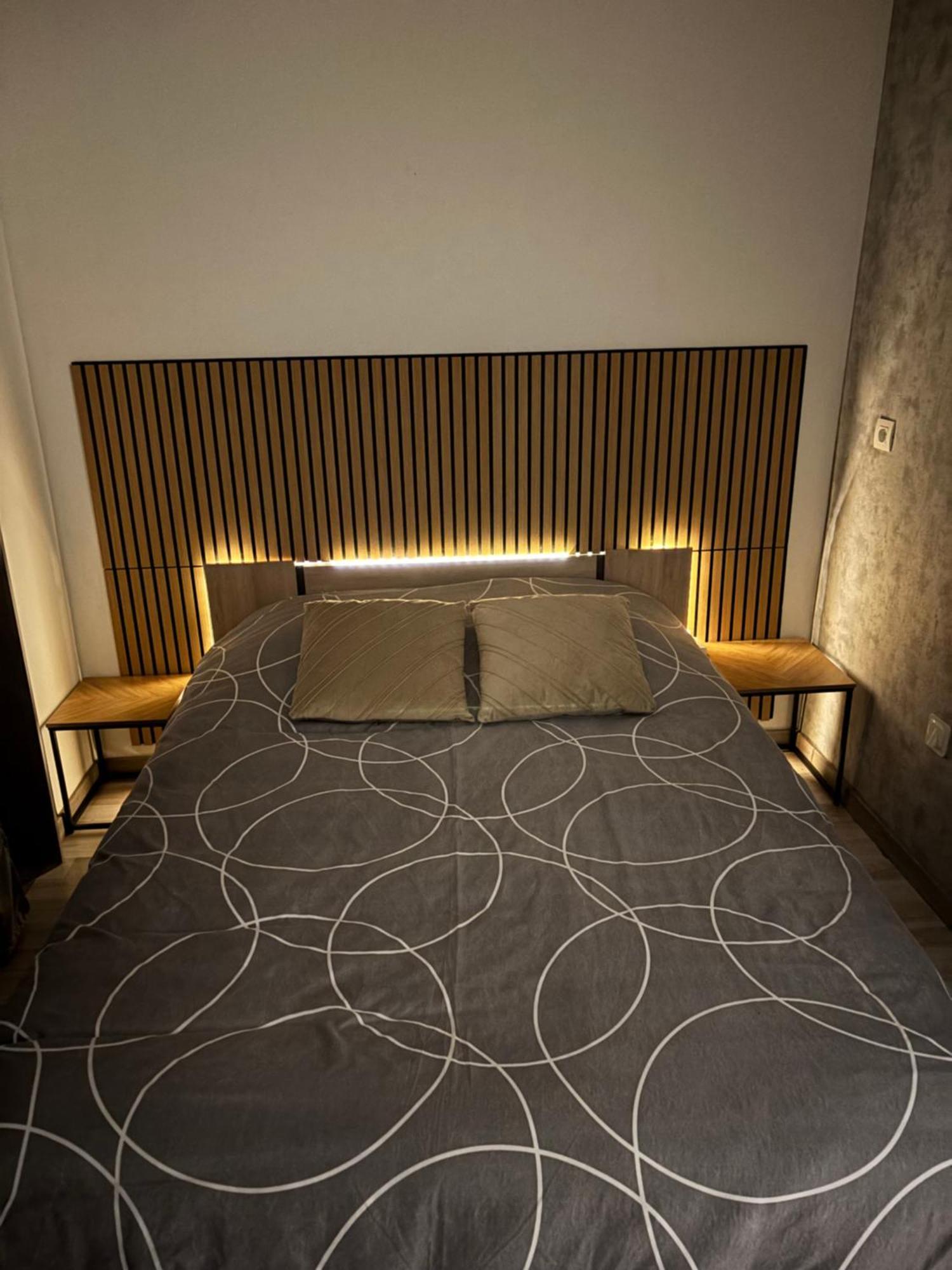 Appartement Moderne Centre Ville De 디종 외부 사진
